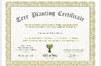 Image for For each bridal gown sold we will plant trees, save our planet