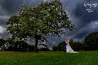 Image for Surrounded with beautiful nature having time as husband and wife under the big tree