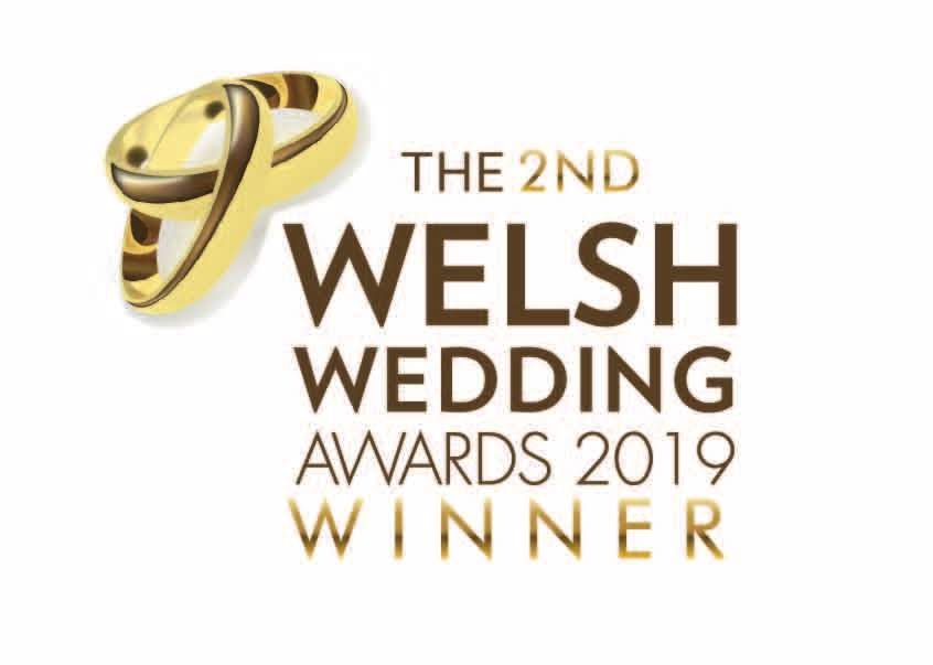 Image for Welsh wedding awards 2019 Best Wedding DJ in Wales Winner