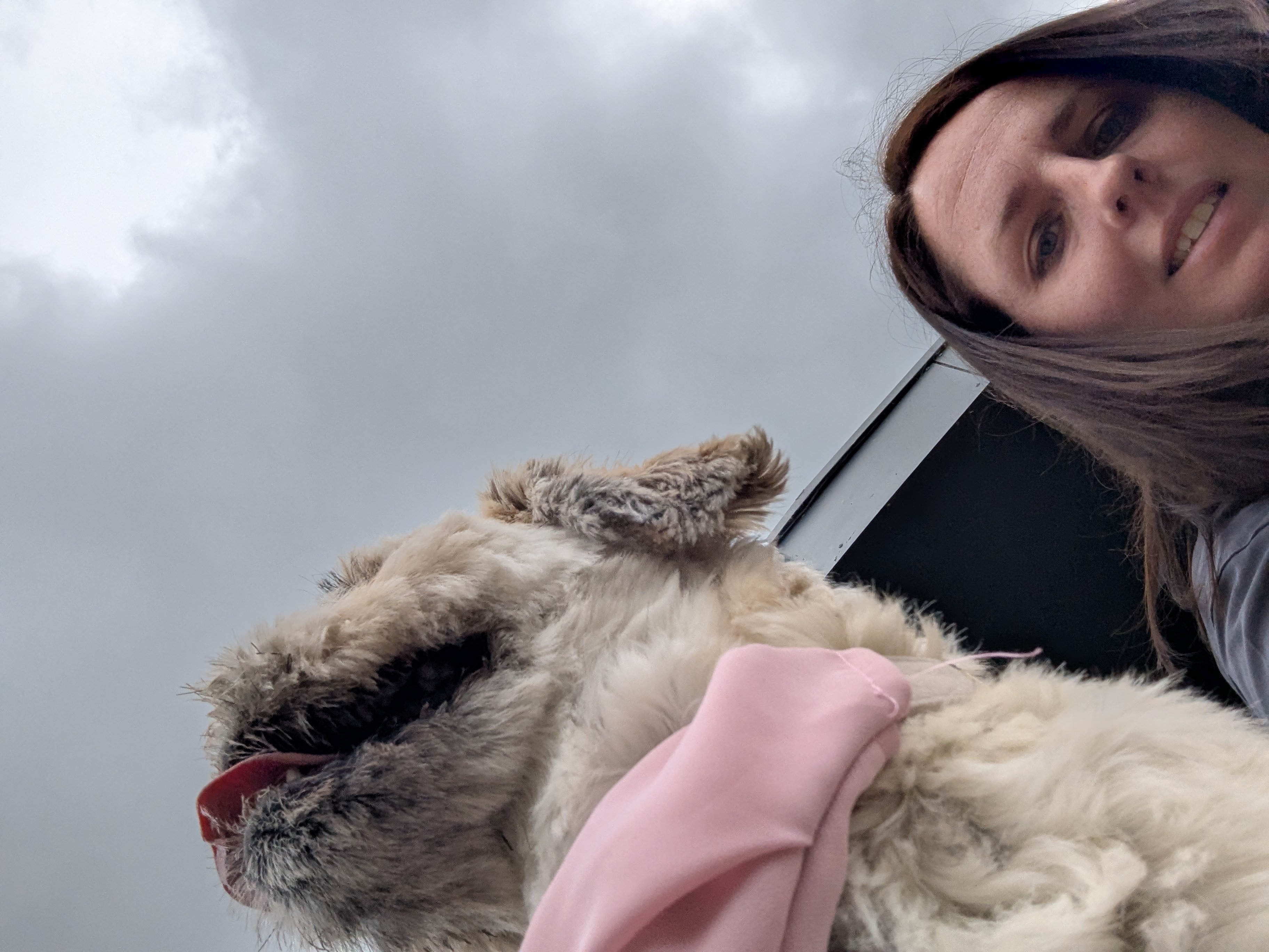 Image of Owner Laura Findlay 