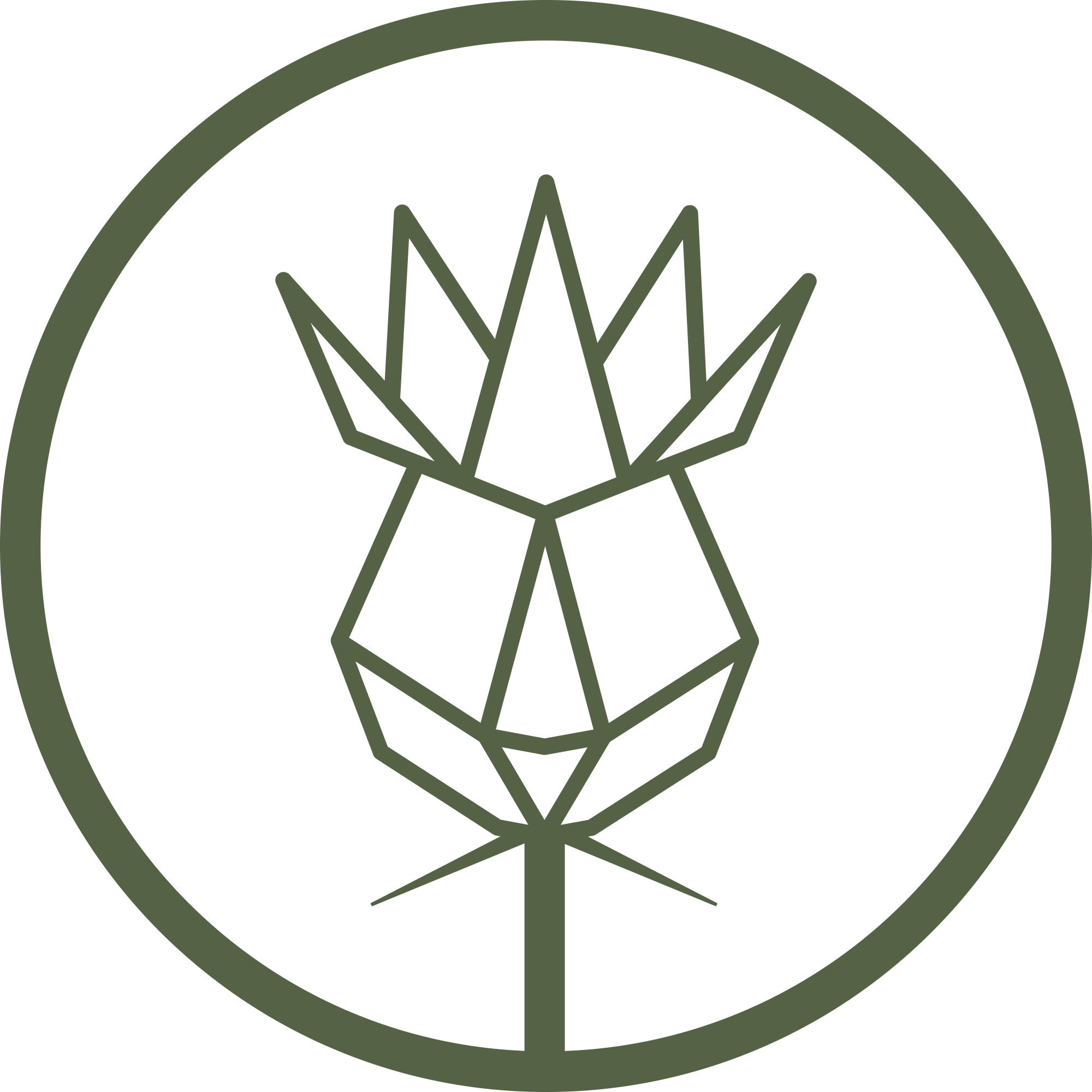 Image of Owner Anna MacLean