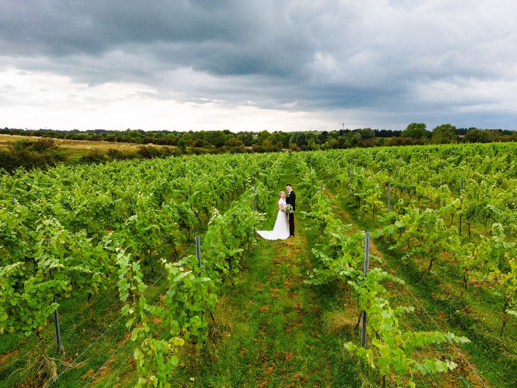 Gallery Item 1 for Hanwell Wine Estate