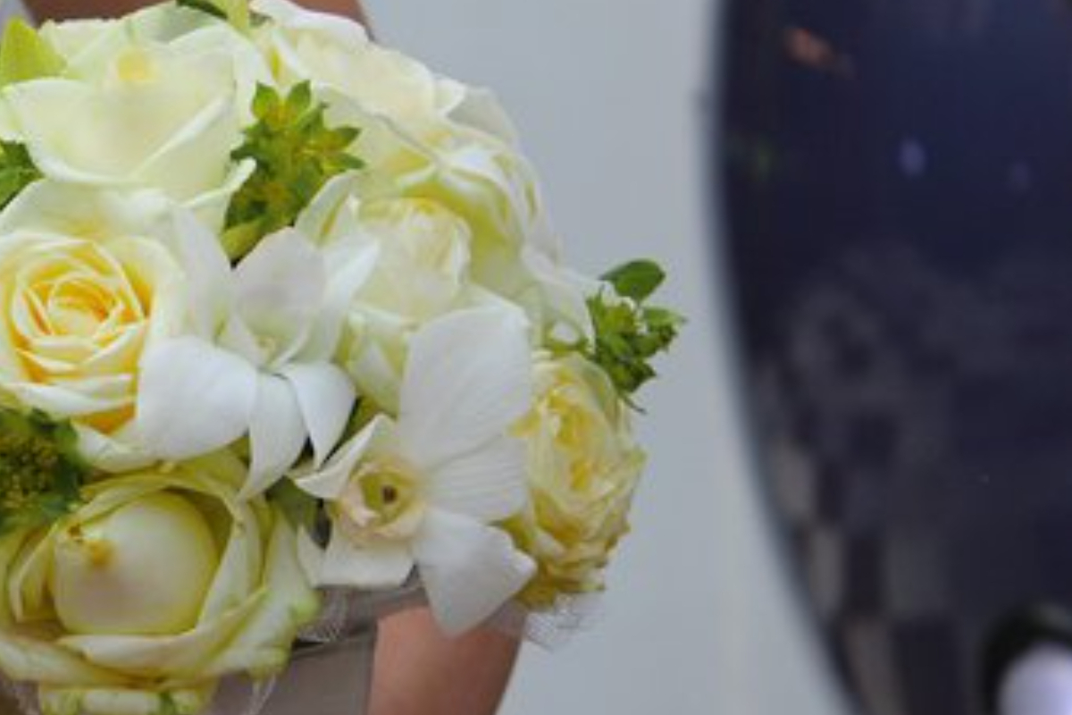 Gallery Item 1 for 