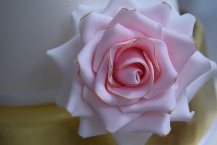 Gallery Item 6 for 