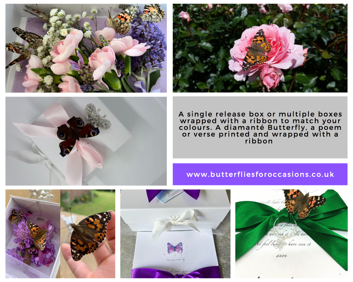 Gallery Item 5 for 