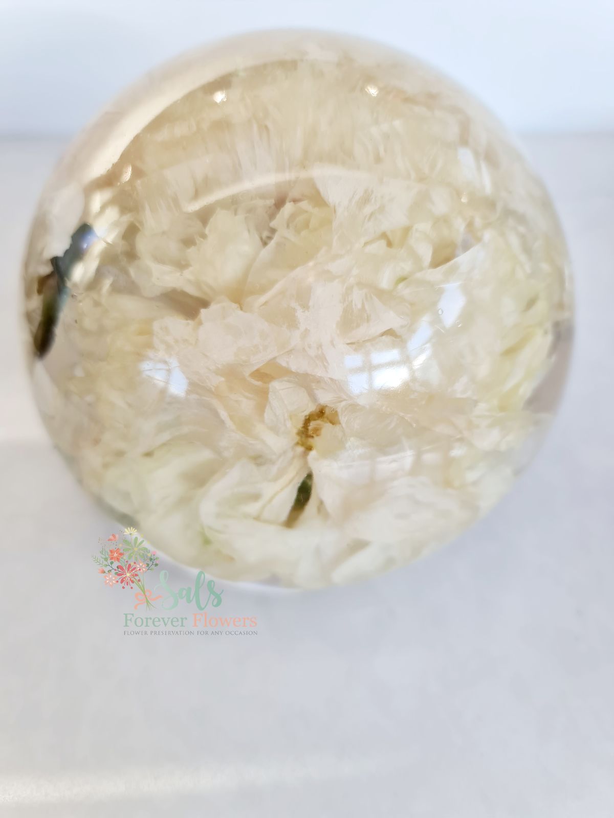 Gallery Item 5 for 
