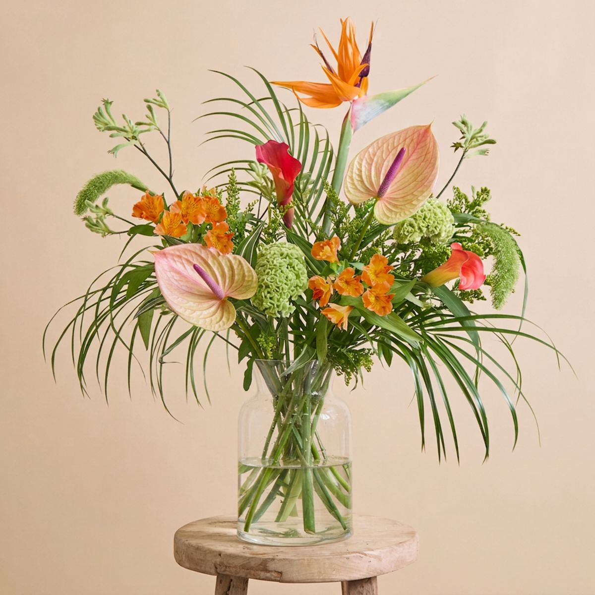Gallery Item 2 for 