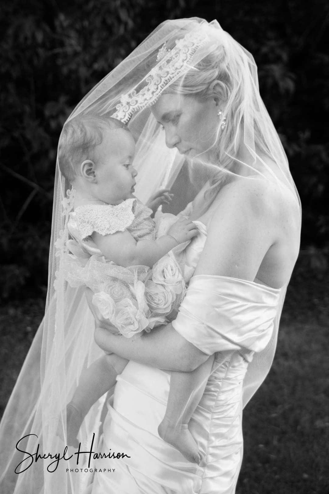 Gallery Item 4 for Sheryl Harrison Photography