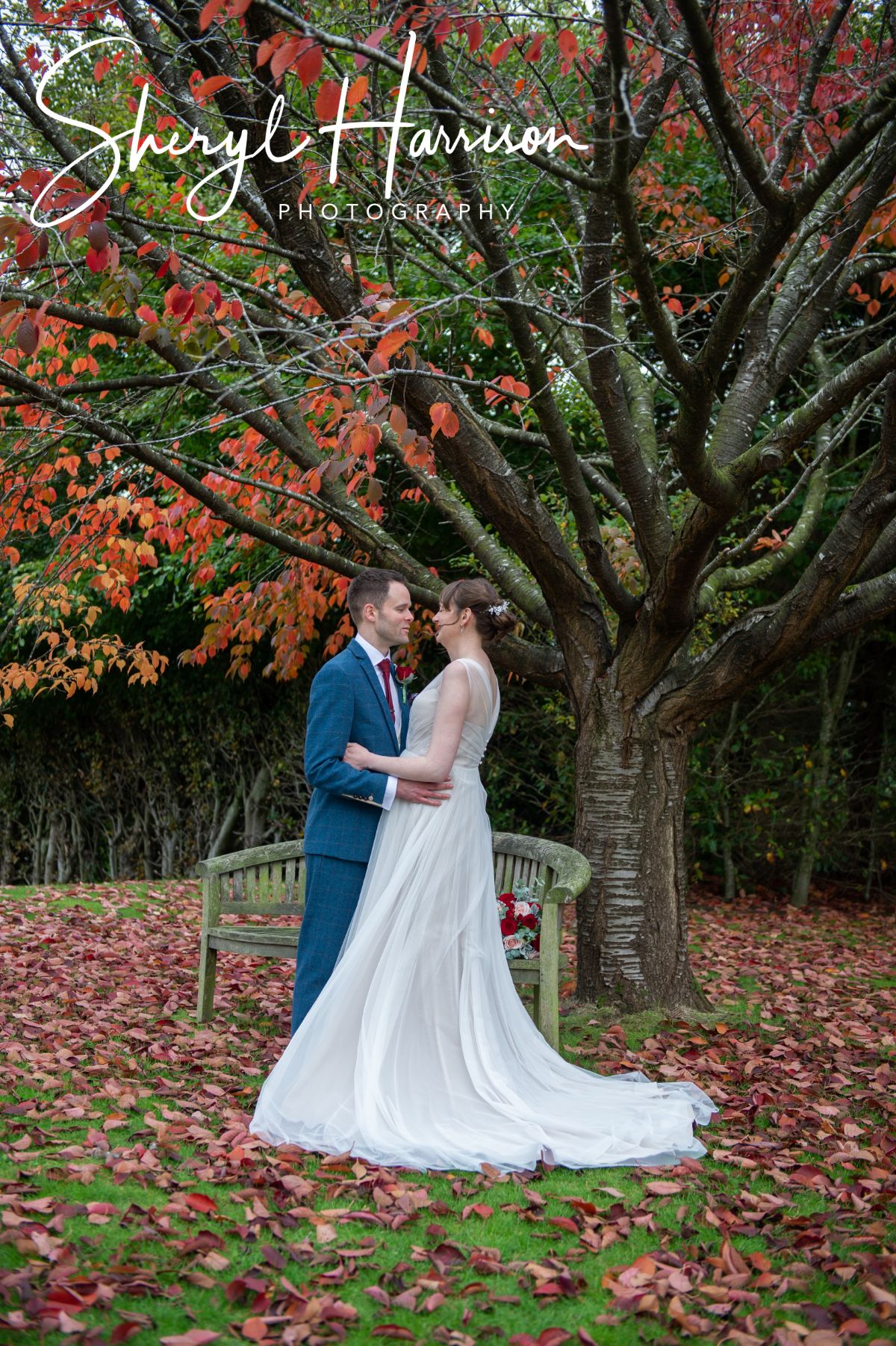 Gallery Item 3 for Sheryl Harrison Photography